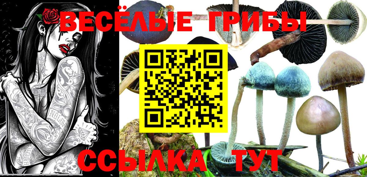 Железногорск  Псилоцибиновые грибы MAGIC MUSHROOMS  Вход с VPN 